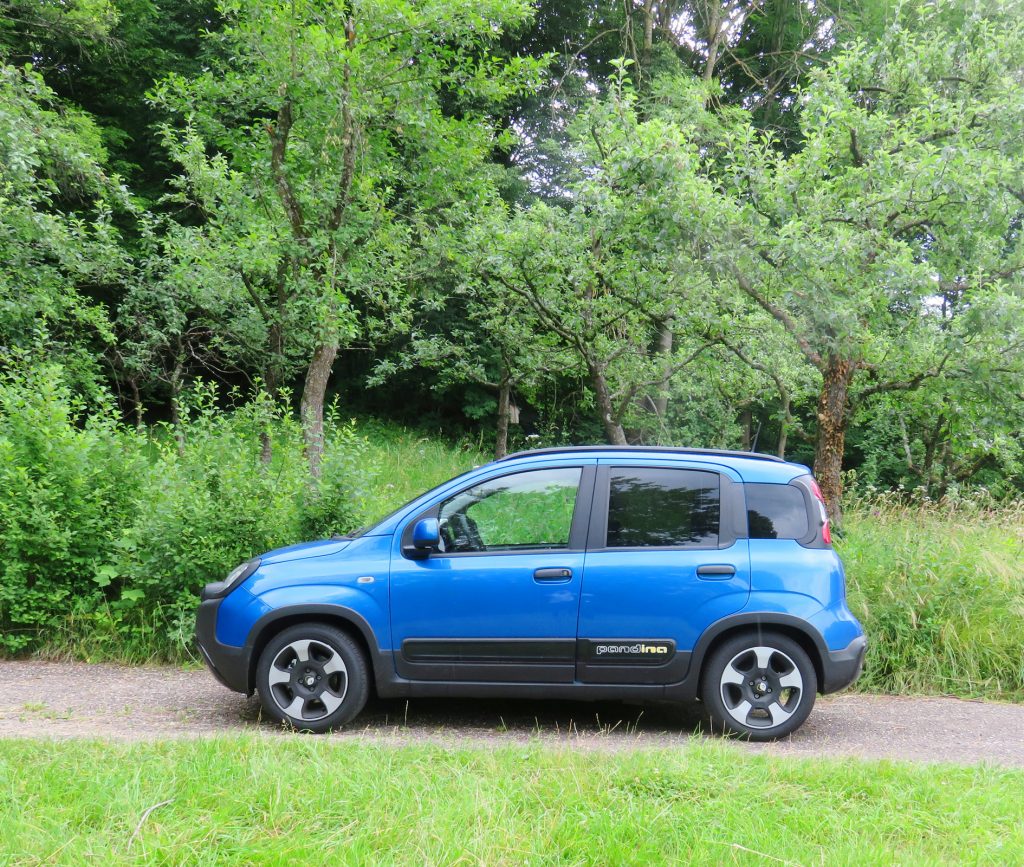 Alltagstest:        Fiat Pandina