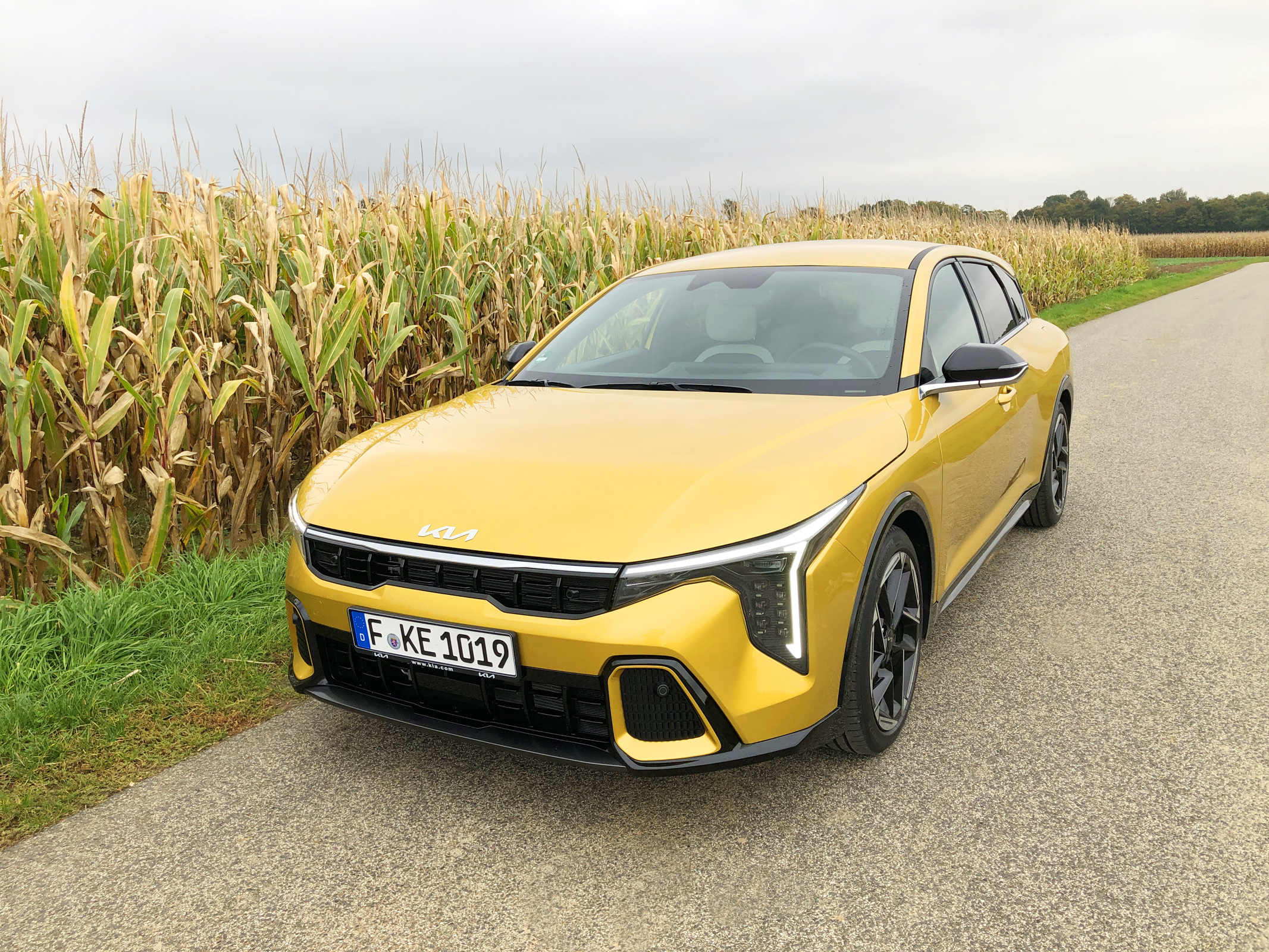 Neu auf der Straße: Kia K4